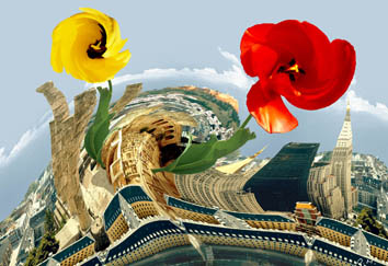 Series Home Decoration